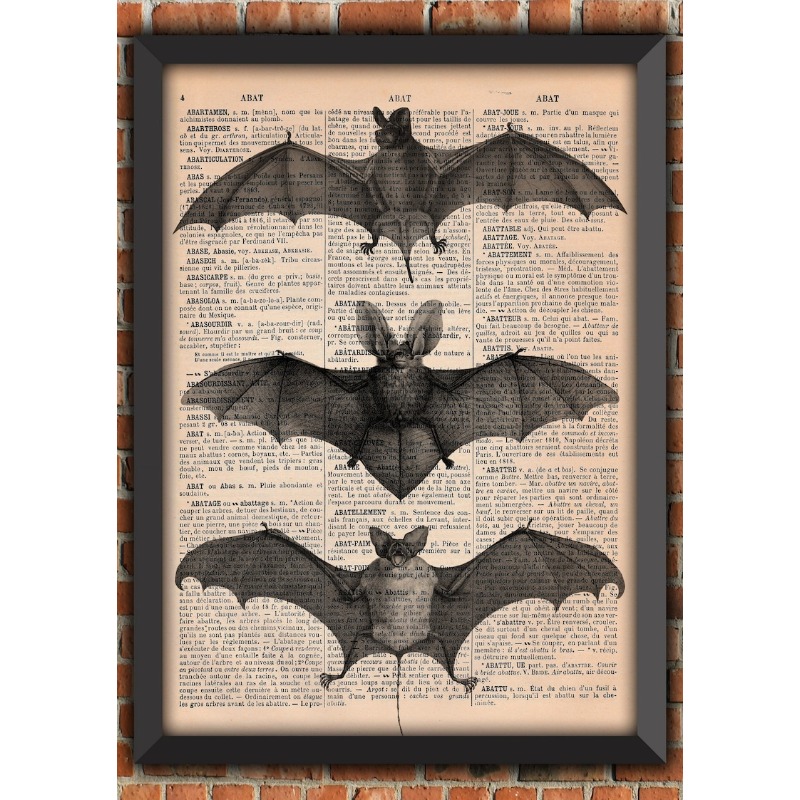 Halloween Skeleton Decoration - Affiche Imprimée : Squelette de chauve-souris,
