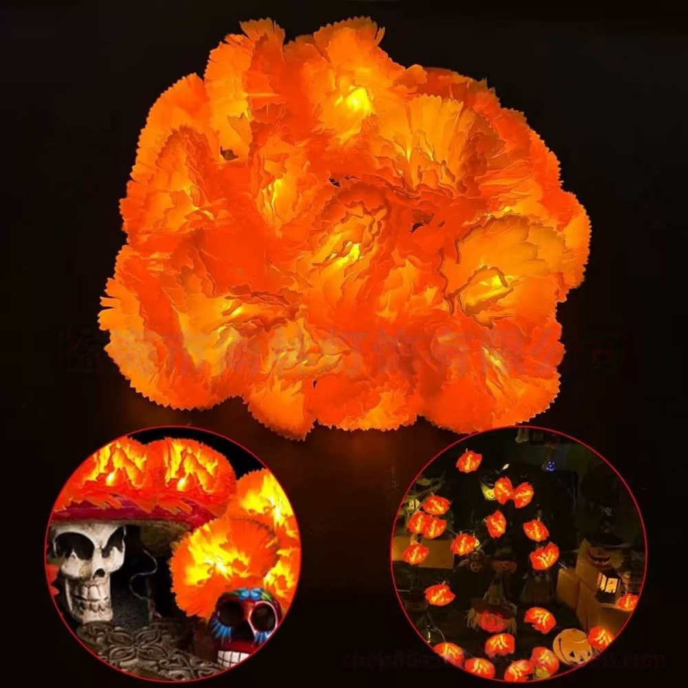 Guirlande lumineuse LED en for - Halloween Led String Lights Orange avis et prix