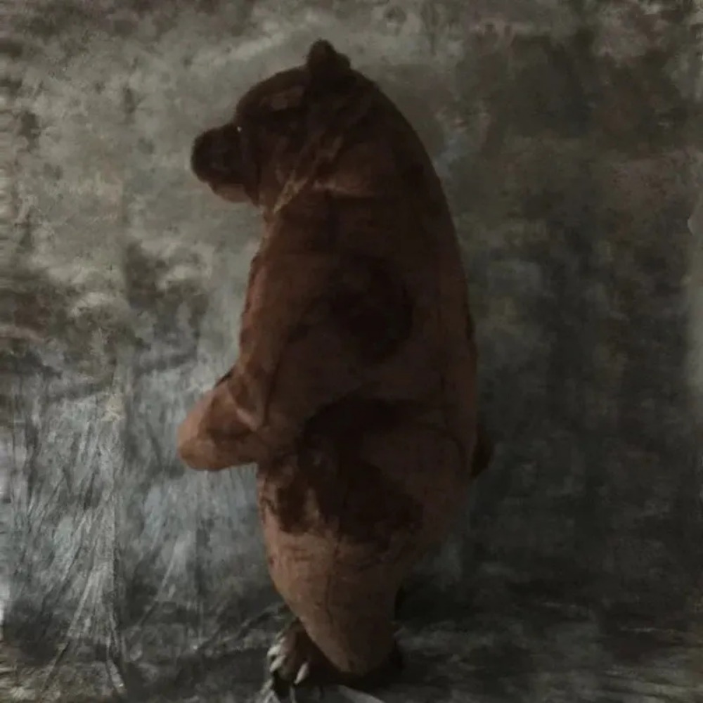 Costume de mascotte d'ours bru - Halloween Costume Adult avis et prix
