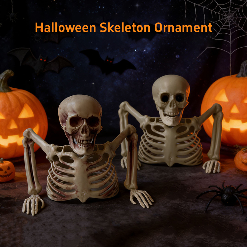 Ornement de crâne de moitié de - Halloween Skeleton Decoration avis et prix