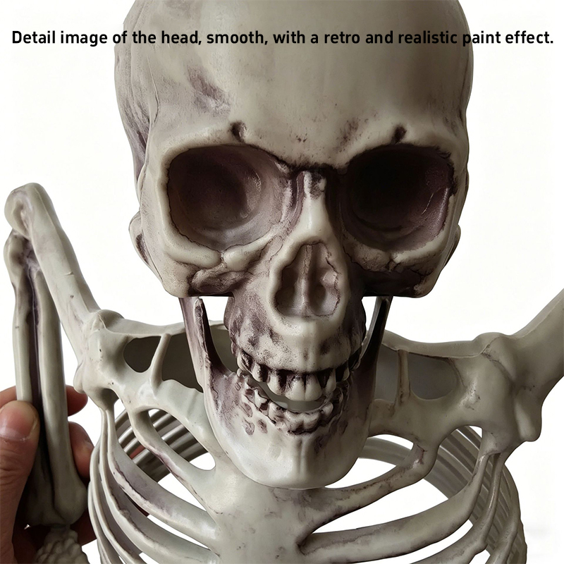 Ornement de crâne de moitié de - Halloween Skeleton Decoration avis et prix